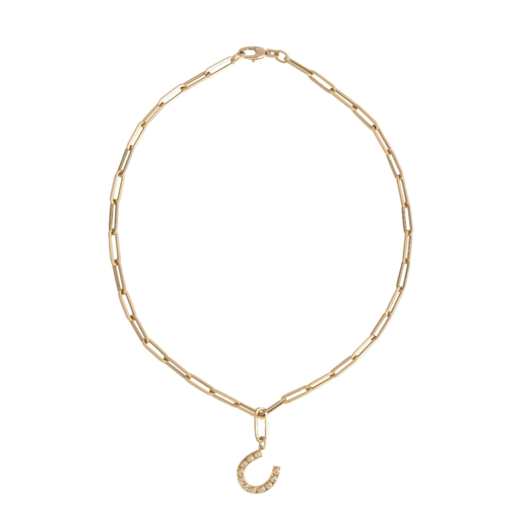 A paperclip chain with a horseshoe pendant attached on a white background.