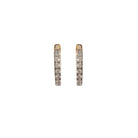 Pair of gold hoop earrings on a white background