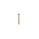 Gold ring on a white background